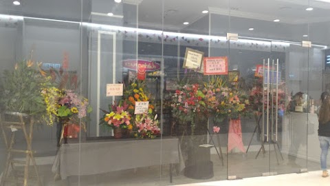 Refresh Beauty 美薈坊