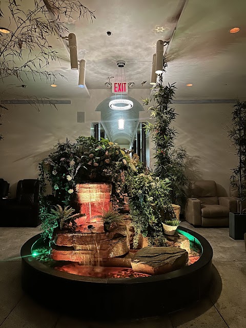 Eden Med Spa