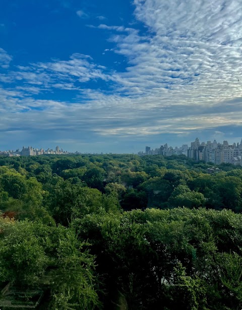 Central Park South Plastic Surgery
