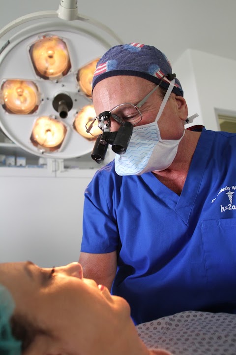 The H-art of Plastic Surgery by Yale M. Kadesky, M.D.