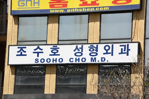 Dr. Soo Ho Cho
