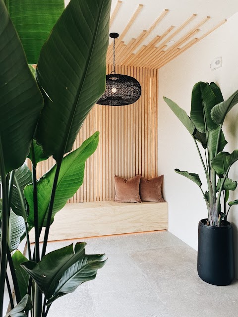 Halo Aesthetics Bar