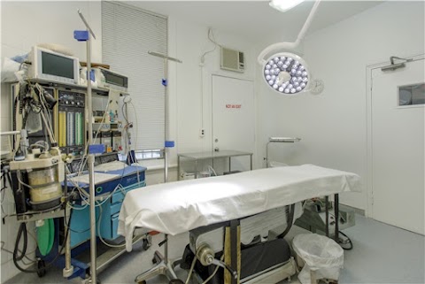 Plastic Surgery NYC: Dr. George Lefkovits