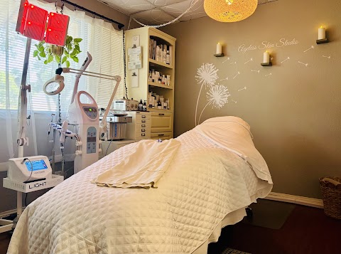 Ageless Skin Studio
