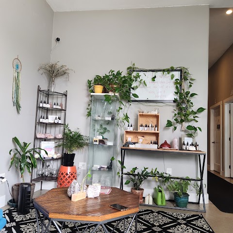 The Skin Care Studio