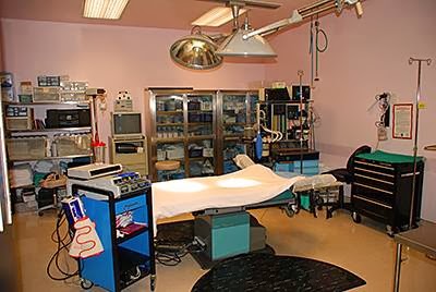 Kaczynski, Andrew J. M.D.: Certified by American Board of Plastic Surgery