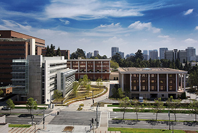 UCLA Stein Eye Institute