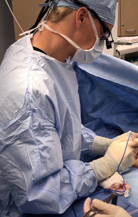NorCal Plastic Surgery