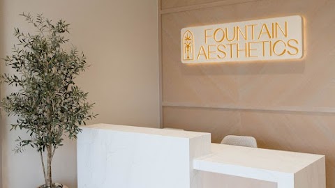 Fountain Aesthetics