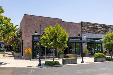 Renew Skin Artistry
