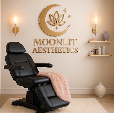 Moonlit Aesthetics