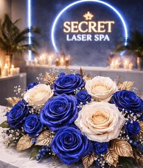Secret Laser Spa