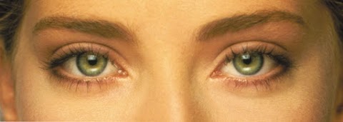 Richard Weiss MD – Cosmetic Eyelid & Blepharoplasty Surgery