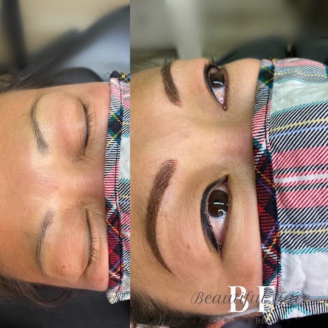 Beautiful Face Brow & Blush
