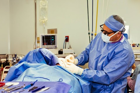 Tampa Bay Plastic Surgery