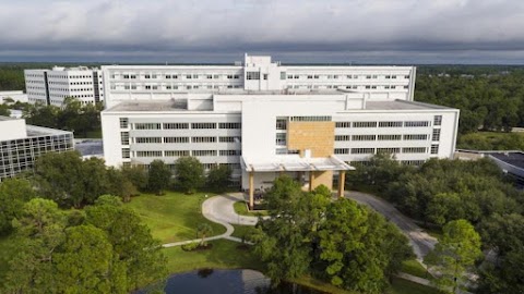 Mayo Clinic Plastic Surgery