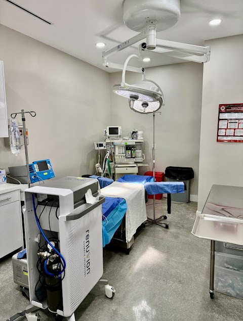 Provocative Plastic Surgery