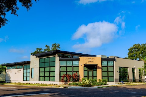 Gayoso Plastic Surgery: Gayoso Antonio MD Frank Beninger MD, Annie Zoller APRN and Carrie Kessinger Aesthetician