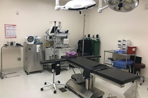 Le Contour Aesthetic Surgery - Dr. Jorge Gonzalez, Plastic Surgeon Orlando