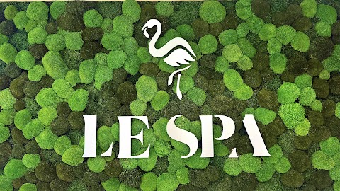 Le Spa Plastic Surgery