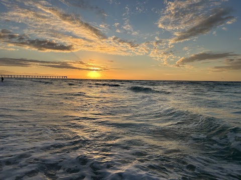 Gulf Coast Gorgeous