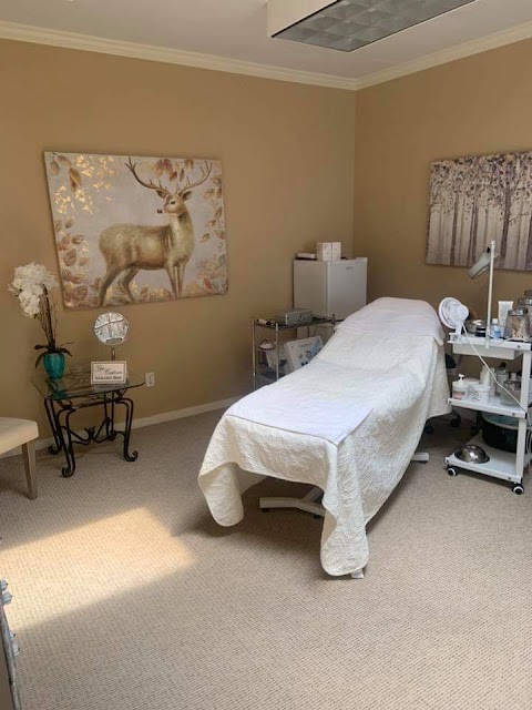 Hello Beautiful Skin Care by Jean Williamson