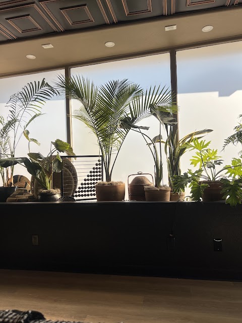 IV Lounge by Injected Artistry Monterey
