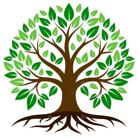Trees of Life Regenerative Medicine