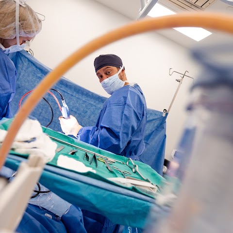 Dr David Mok | Plastic Surgeon Beverly Hills