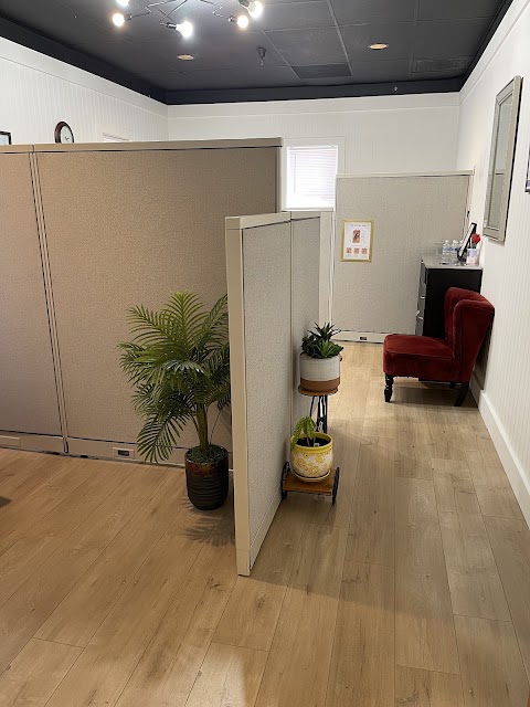 Electrolysis Studio By AK