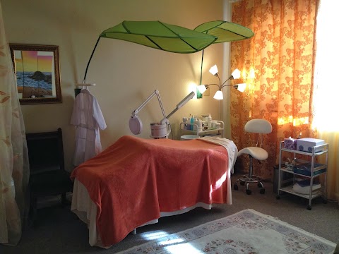 The Gorgeous Lady facial salon